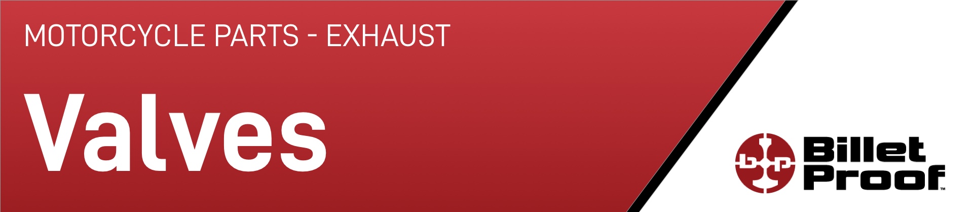 motorcycle-parts-exhaust-valves.jpg